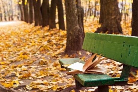 Les complaintes d’un auteur perdu.