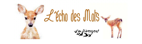 Focus Blog: L'écho des mots