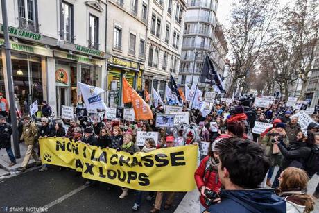 manif loup5