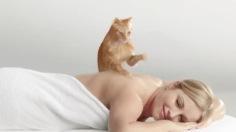 Du bonheur en contrebande, par Sophie Torris…