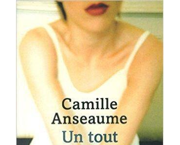 Un tout petit rien de Camille Anseaume