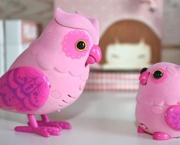 Ses oiseaux Little Live Pets