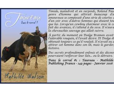 Dans le corral #1 – Taureau – Mathilde Watson