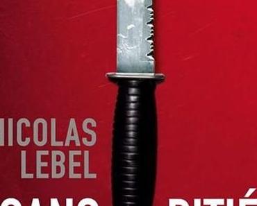 A la poursuite du "Gardien des Esprits"...