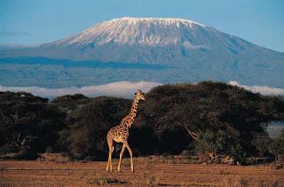 Vendredi...un pays #6: La Tanzanie