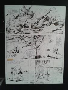 Exposition Rahan à la Maison de la BD (Blois) 2016-02-12 18.37.49