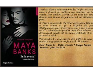 Slow burn #3 – Enfin réunis ? – Maya Banks ♥♥♥♥♥