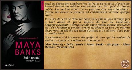 Slow burn #3 – Enfin réunis ? – Maya Banks ♥♥♥♥♥