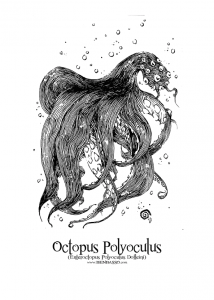 Rencontre avec Ben Basso et son bestiaire octopus