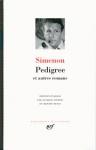 Georges Simenon : Malempin