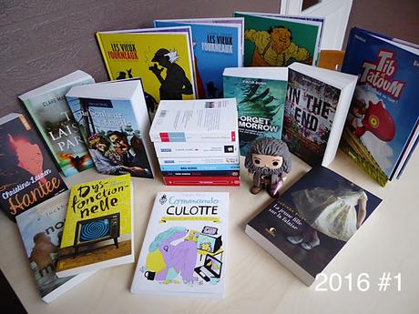 Bilan #6 Janvier 2016