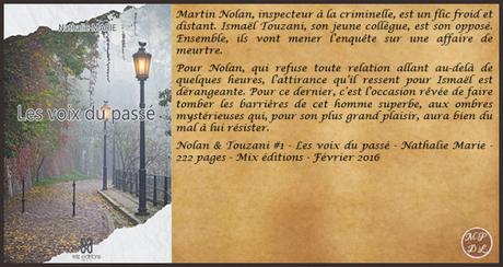 Nolan &Touzani; #1 – Les voix du passé – Nathalie Marie