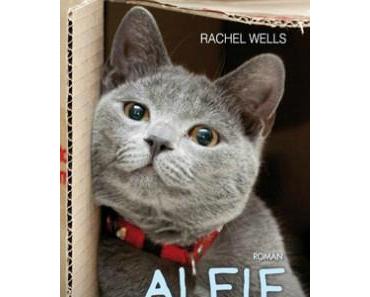 Alfie un ami pour la vie > Rachel Wells