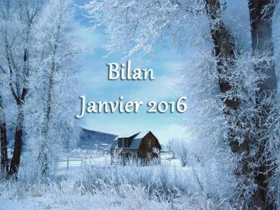 Bilan janvier2