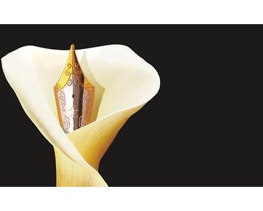 Printemps du livre de Montaigu - 22-23-24 avril 2016