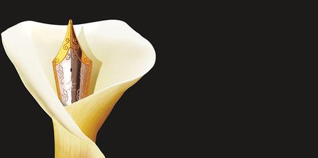 Printemps du livre de Montaigu - 22-23-24 avril 2016