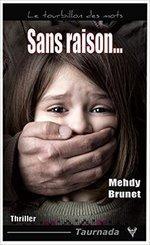 Sans raison... de Mehdy Brunet