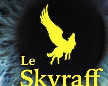 Le Skyraff de Florence et Thomas Gindre