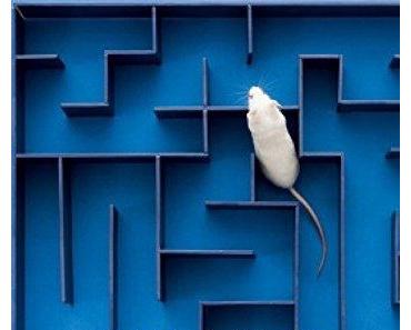 "Rien ne dure éternellement. / Tu peux l'endurer / Endure / Endure".