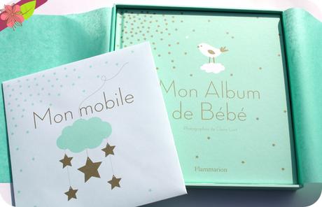 Mon album de bébé de Claire Curt - Flammarion