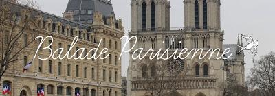 BILAN DE LIVRE PARIS 2016 + BALADE PARISIENNE