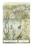 Chlorophylle et le monstre des trois sources - Hausman et Cornette