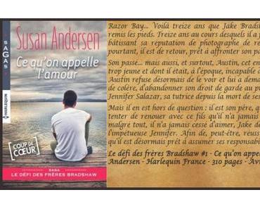 Le défi des frères Bradshaw #1 – Ce qu’on appelle l’amour – Susan Andersen