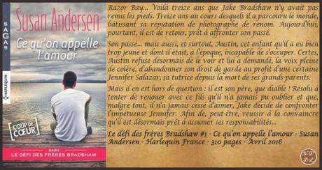 Le défi des frères Bradshaw #1 – Ce qu’on appelle l’amour – Susan Andersen