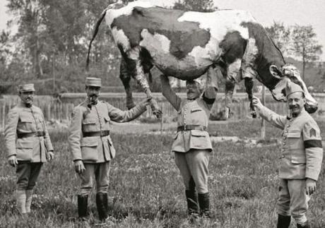 Les Godillots. Tome 1. Le gourbi du sorcier. Olier et Marko (Dès 9 ans) + histoire du camouflage