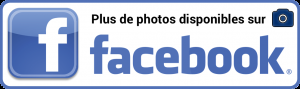 Paris Comics Expo : un retour attendu que cette édition 2016 facebook_photos