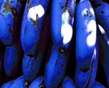 Bleu banane, un texte de Karine St-Gelais…