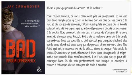 Amour Dangereux | Jay Crownover (Bad #2)