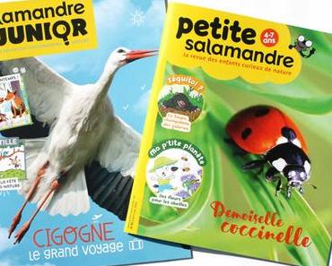 La petite salamandre & La salamandre junior [Code promo] [Concours]