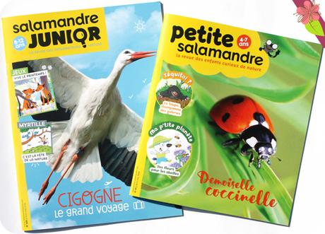 La petite salamandre & La salamandre junior - Avril-mai 2016