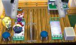 Animal Crossing : Happy Home Designer