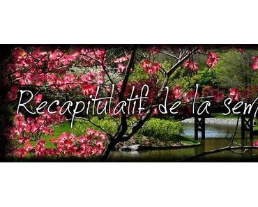 Récapitulatif des articles de blog de la semaine (47)