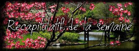 Récapitulatif des articles de blog de la semaine (47)