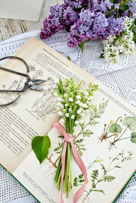 Afficher l'image d'origine