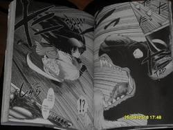 (Chronique de Mylène) Lune de sang T1 - Tomô Maruyama