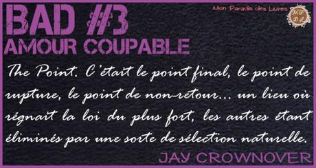 Bad #3 – Amour coupable – Jay Crownover ♥♥♥♥♥