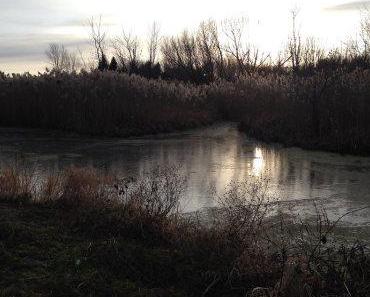 La boue, un texte de Hélène Bard…