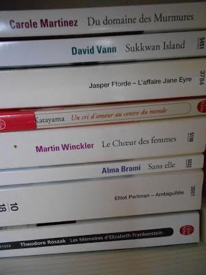 Ma Pile à Lire en photos !