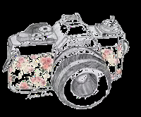 [RDV] Top Ten Tuesday #24