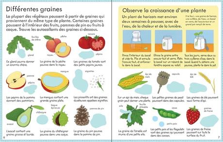 Mon premier livre: ça pousse comment? - Editions USBORNE