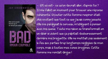 Bad - Tome 3 : Amour Coupable alt=