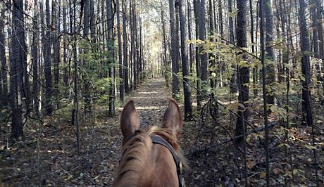 Les étoiles s'éteignent à l'aube Les étoiles s'éteignent à l'aube