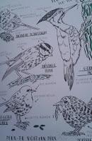 Hello nature de Nina Chakrabarti