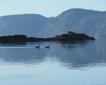 En silence, par Claude-Andrée L’Espérance…