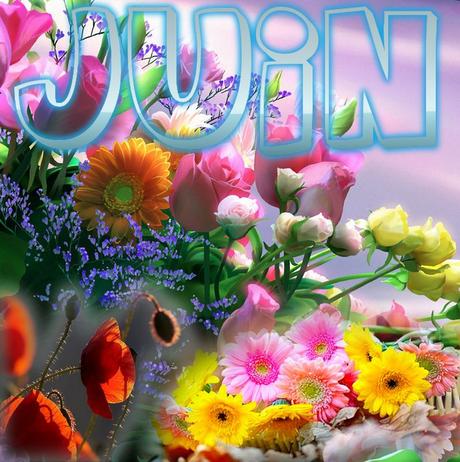 Acronymes du mois de juin 2016