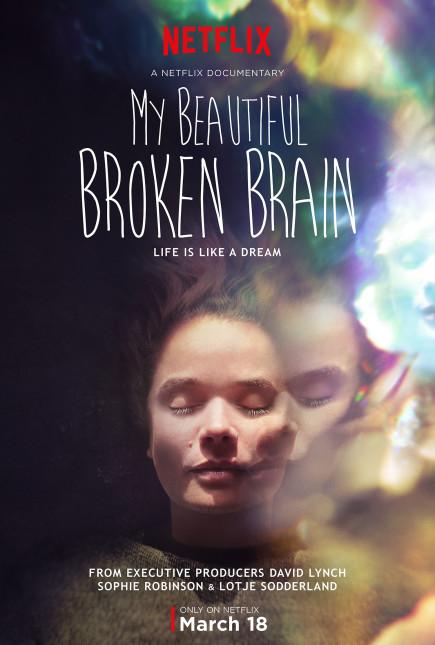 my-beautiful-broken-brain-poster